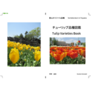 チューリップ品種図鑑 Tulip Varieties Book 製本直送 Com 1冊から注文ok 安さと高品質のオンデマンド印刷