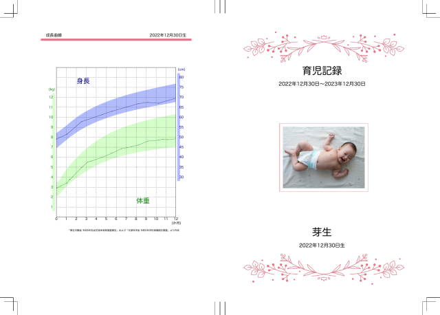 芽生の製本表紙
