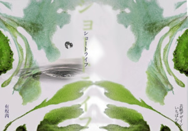 有坂茜の製本表紙